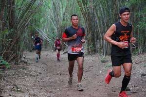 BIB: 7359
                            <button type="button" onclick="openModal(4121074)" class="btn btn-primary btn-sm float-right btn-popup" data-toggle="modal" data-target=".modal-high-quality">
                        <i class="fas fa-shopping-cart"></i> Add to Cart
                    </button>
                                            <button type="button" onclick="isThisMe(4121074, true)" class="btn btn-success btn-sm float-right btn-popup btn-isme hidden" data-toggle="tooltip" data-placement="bottom" title="นี่คือรูปของคุณใช่ไหม คลิกที่นี่เพื่อเอาเข้าอัลบั้ม">
                        <i class="fas fa-plus"></i> Add to album
                    </button>
                    <button type="button" onclick="isThisMe(4121074, false)" class="btn btn-warning btn-sm float-right btn-popup btn-isnotme hidden">
                        <i class="fas fa-ban"></i> Remove from album
                    </button>